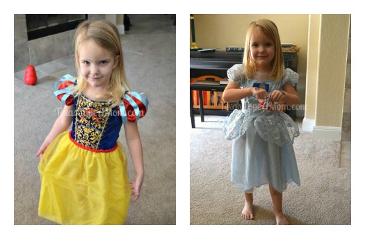 Disney Princess Costume Dress Up