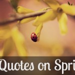 7 quotes on spring
